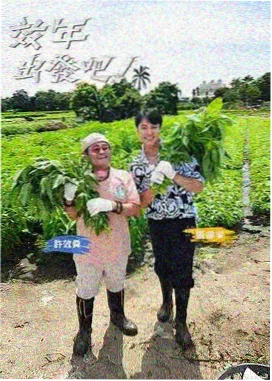 校园题材篇幅分布统计